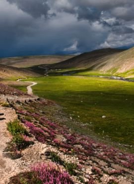 Deosai National Park